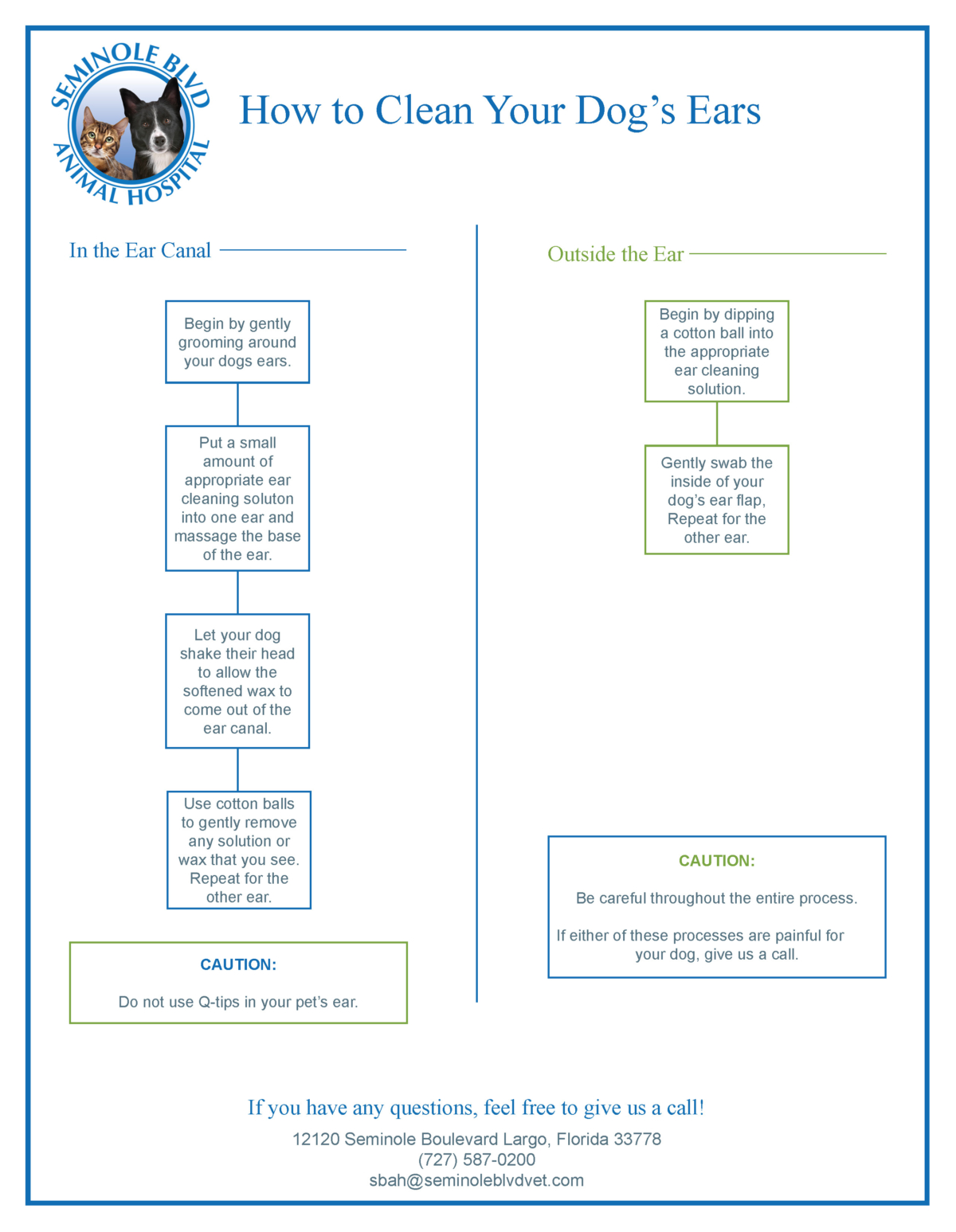 Client Handouts Largo, FL Seminole Boulevard Animal Hospital